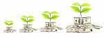 Plants Growing By Money Stock Photo