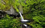 Ponytail Falls Stock Photo