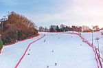 Popular Winter Ski Sports Stock Photo