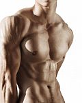 Portrait Muscular Male Torso Stock Photo