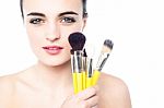 Portrait Of A Beautiful Girl With Makeup Brushes Stock Photo