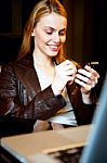 Portrait Of A Young Businesswoman With Pda And Laptop Stock Photo