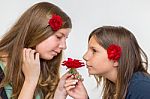Portrait Of Two Girls Smelling Roses Stock Photo