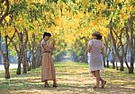 Portrait Of Young Woman Take A Photo In Yellow Flowers Blooming Stock Photo