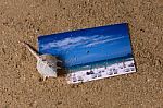Postcard On The Sand Stock Photo