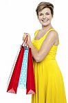 Pretty Woman Holding Colorful Shopping Bags Stock Photo