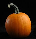 Pumpkin Stock Photo