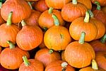 Pumpkins On The Market  Stock Photo