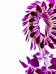 Purple Orchid Garland Stock Photo
