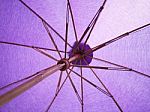 Purple Umbrella Stock Photo