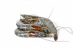 Raw Shrimp Isolated On The Whtie Background Stock Photo