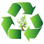 Recycle Symbol With Tree Stock Photo