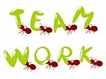 Red Ants Teamwork Illustration Stock Photo