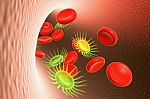 Red Blood Cell And Virus Stock Photo