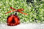 Red Christmas Ball On Snow With Christmas Tree Stock Photo