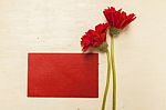 Red Paper Card With Red Daisy Flower Stock Photo