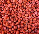 Red Pistachios Stock Photo