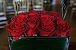 Red Roses Stock Photo