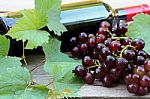 Red Wine And Grapes Stock Photo
