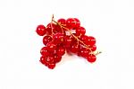Redcurrants Stock Photo