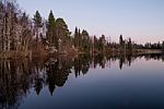 Reflexion Of Forest In The Mirror Of A Lake Stock Photo
