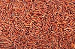 Rice Grain Stock Photo