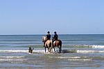 Riding Out To Sea On Horses Stock Photo