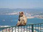 Rock Of Gibraltar Stock Photo