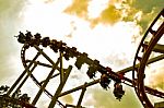 Roller Coaster Stock Photo