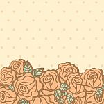 Rose Flower On Empty Space For Your Text Stock Photo