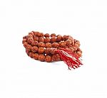 Rudraksha Rosary In A Female Hand. Japa Mala Stock Photo