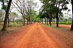 Rural Red Way To Sparse Tropical Forest Stock Photo