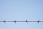 Rusty Barbed Wire Stock Photo