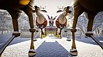 Santa Claus And Deer Stock Photo