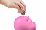 Saving Money, Hand Putting Coin Into Piggy Bank Stock Photo