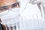 Scientists Are Experimenting Stock Photo