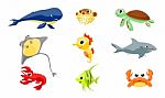 Sea Animals Stock Photo