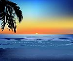 Seascape With Palm Tree Stock Photo