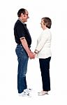 Senior Couples Looking Each Other Stock Photo