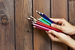 Set Of Colored Pencils In Female Hands On A Background Of Dark W Stock Photo