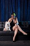 Sexy Widow Woman In Black Dress Holding And Looking On White Dog Stock Photo