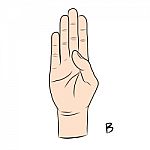 Sign Language And The Alphabet,the Letter B Stock Photo