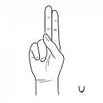 Sign Language And The Alphabet,the Letter U Stock Photo