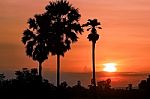 Silhouette Landscape Sunset Background Stock Photo
