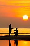 Silhouette Life Stock Photo