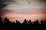 Silhouette Of Palm Trees At Sunset Stock Photo