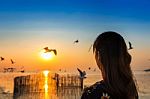 Silhoutte Of Birds Flying And Young Woman At Sunset Stock Photo