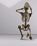 Skeleton Form Stock Photo