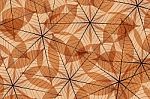 Skeleton Leaf Abstract Stock Photo