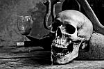 Skull Still Life Stock Photo